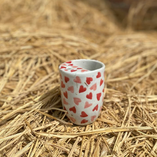 Gulabi Crush Tumbler