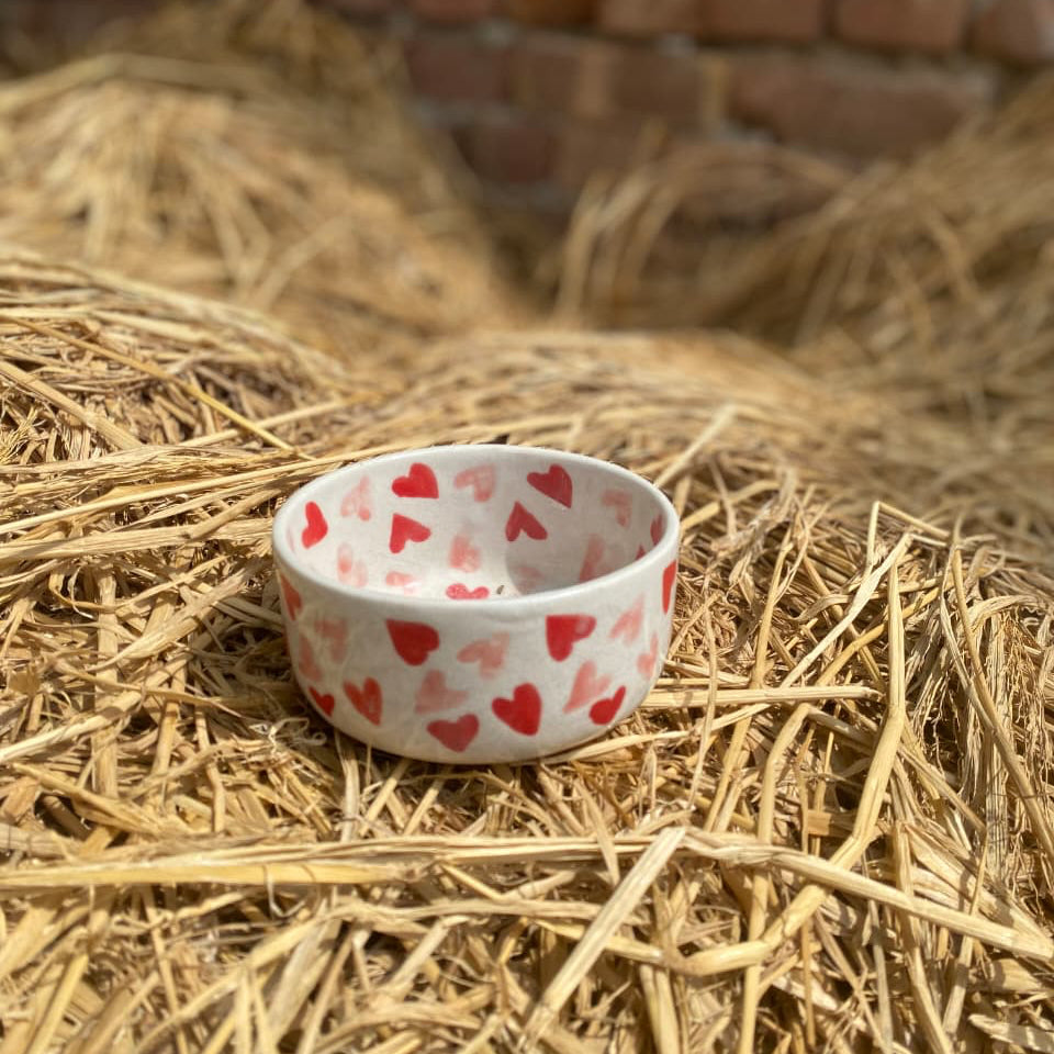Gulabi Crush Small Bowl