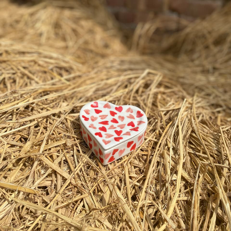 Gulaabi Crush Jewelry Box
